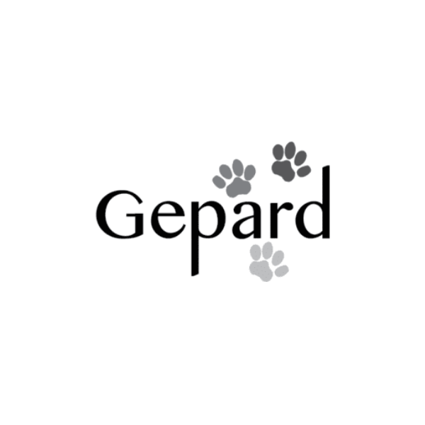 Gepard