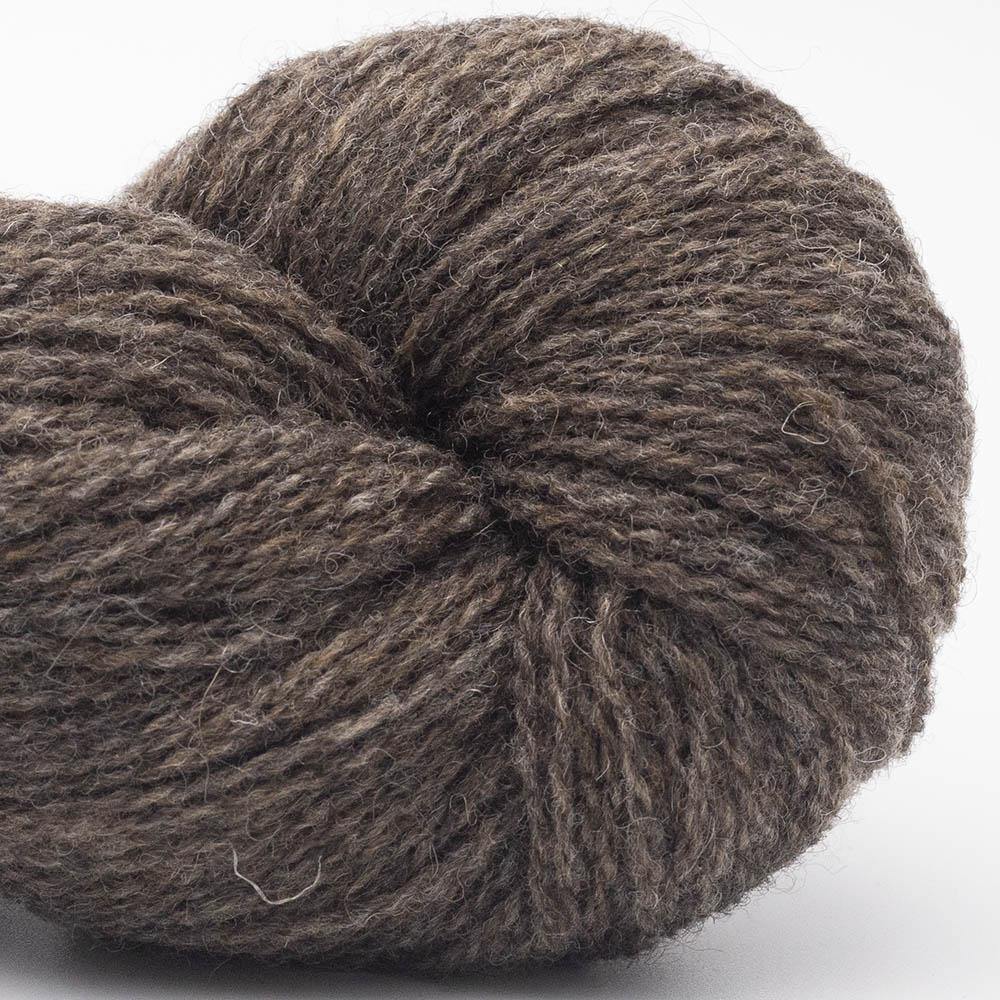 BC Garn - Bio Shetland