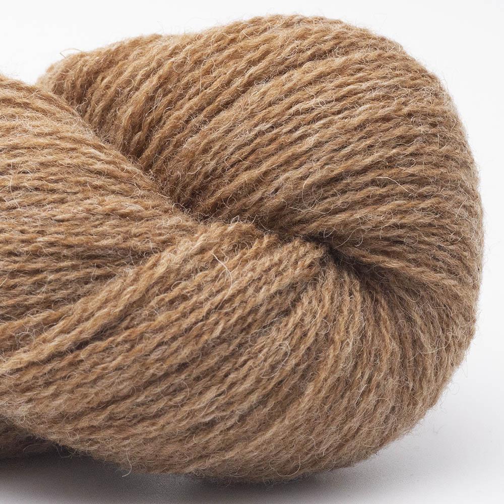 BC Garn - Bio Shetland