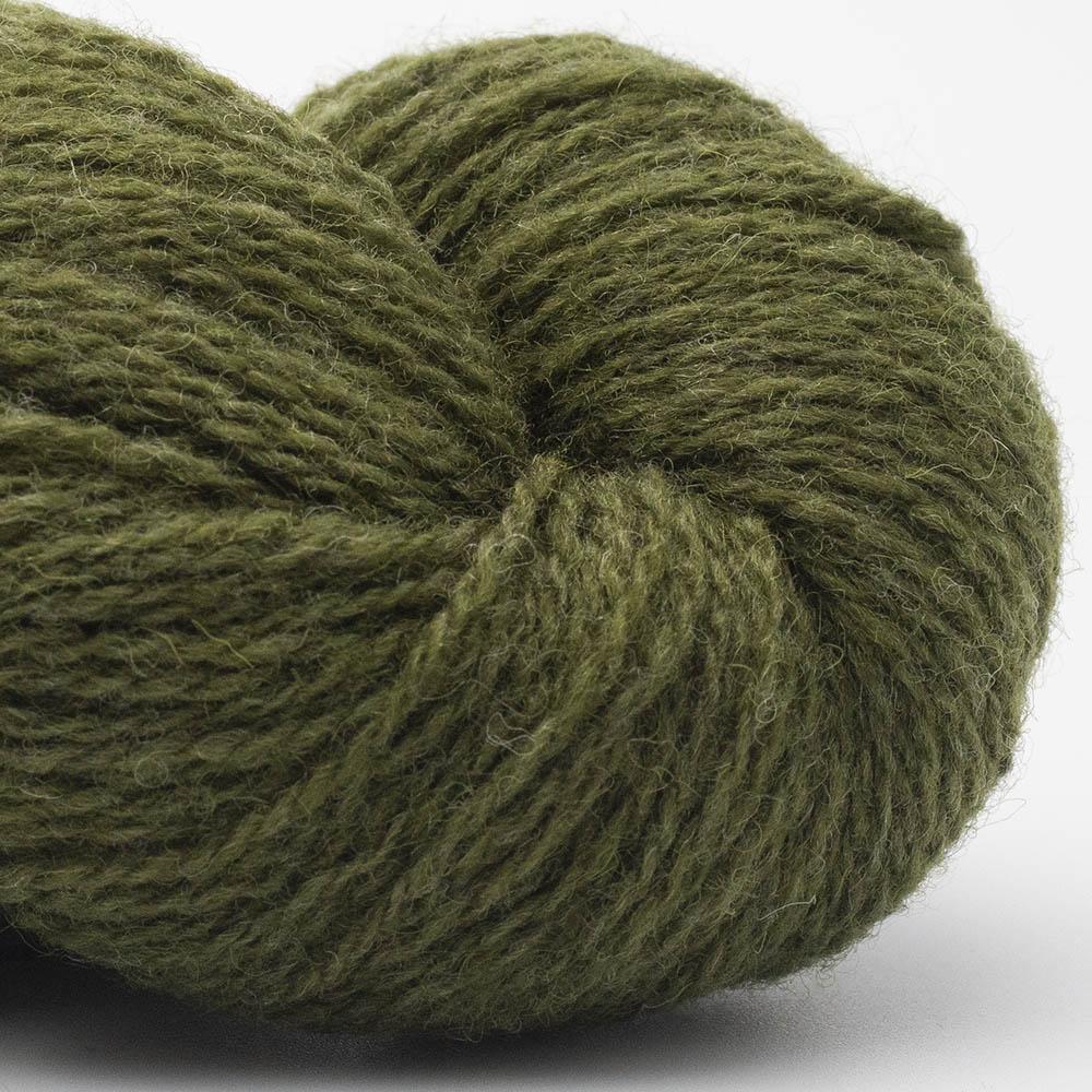 BC Garn - Bio Shetland