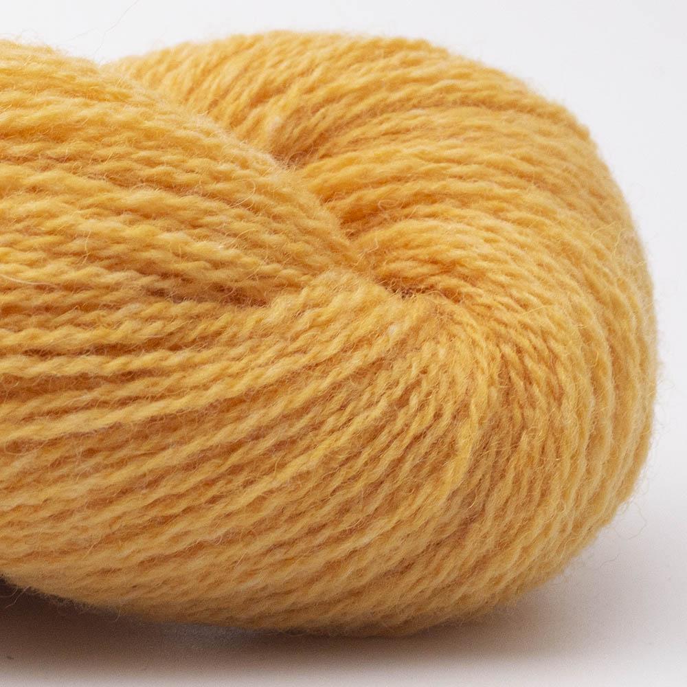 BC Garn - Bio Shetland