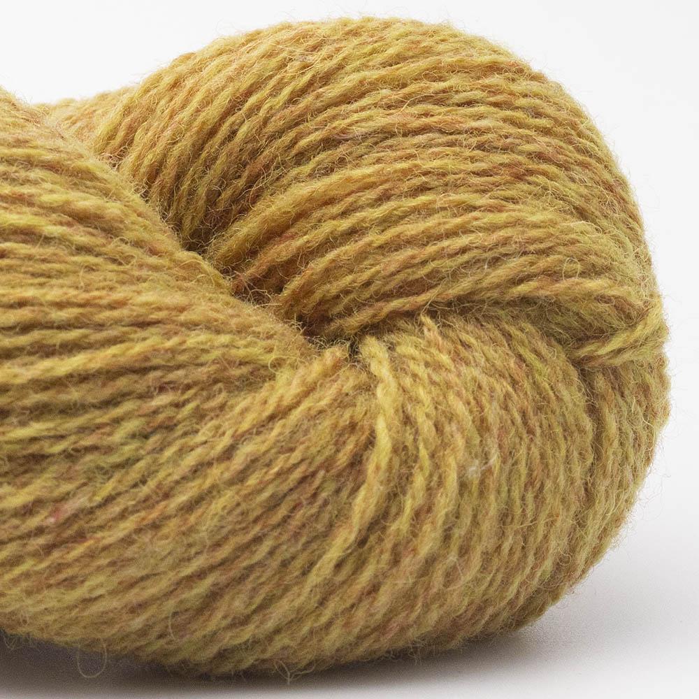 BC Garn - Bio Shetland