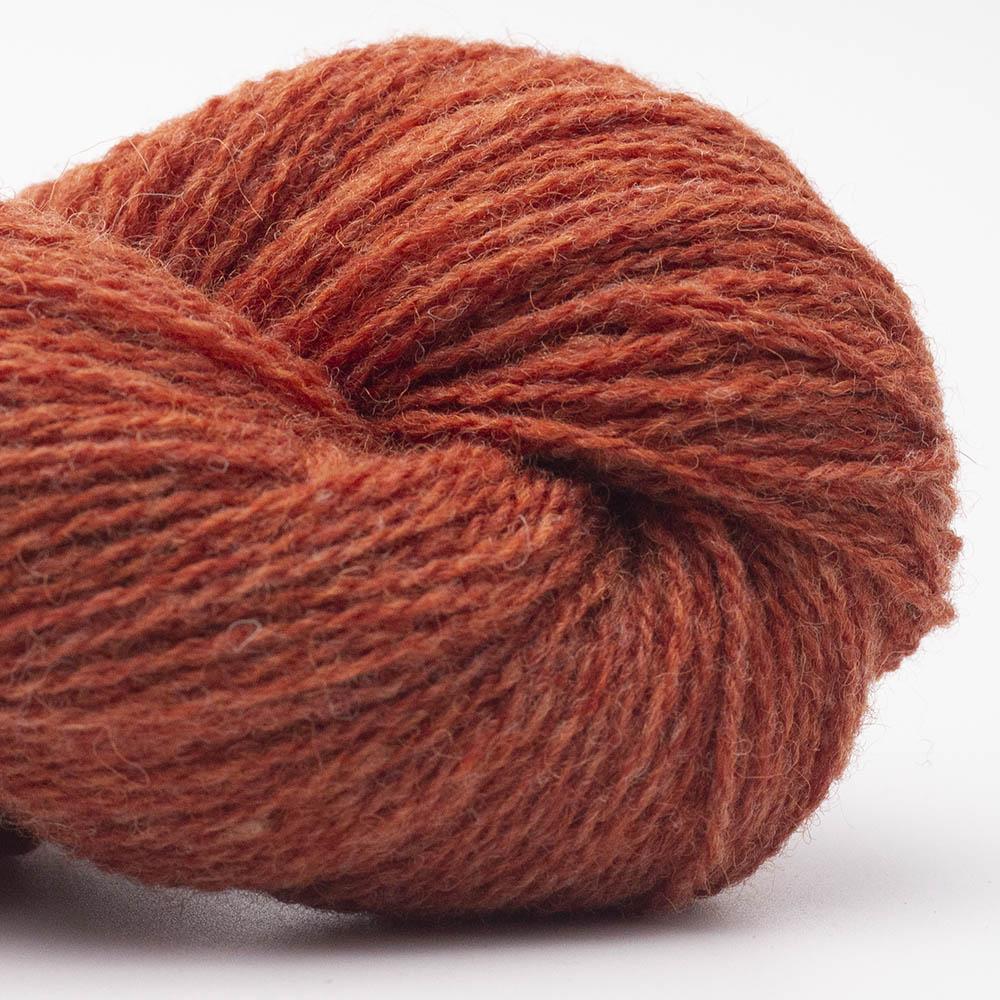 BC Garn - Bio Shetland