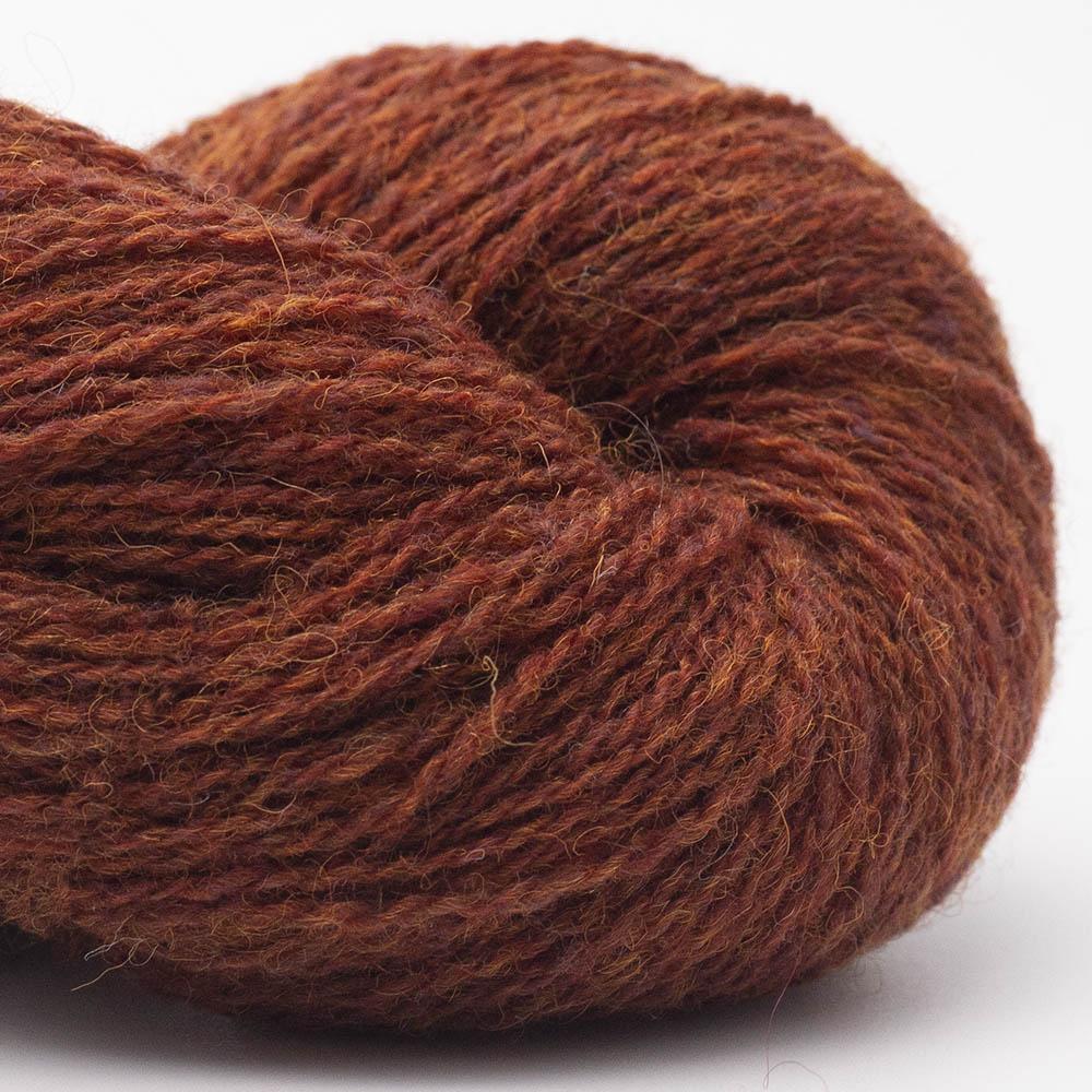 BC Garn - Bio Shetland