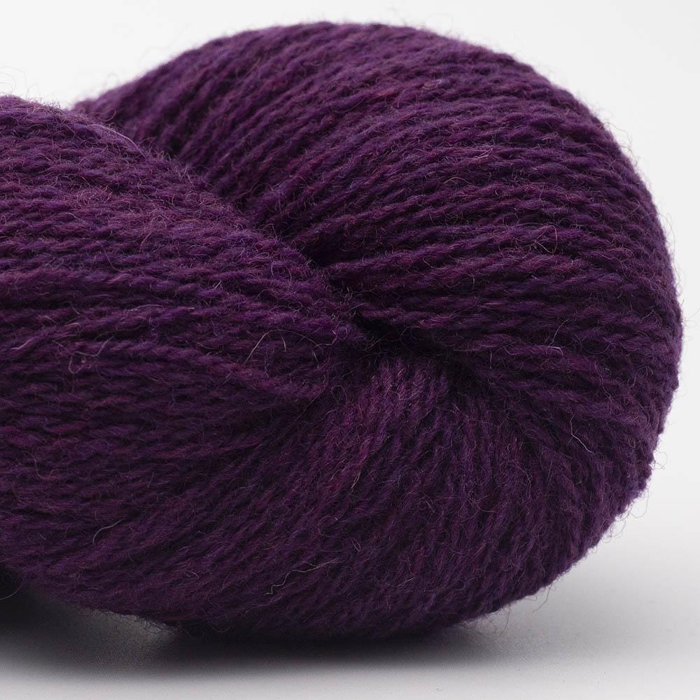 BC Garn - Bio Shetland