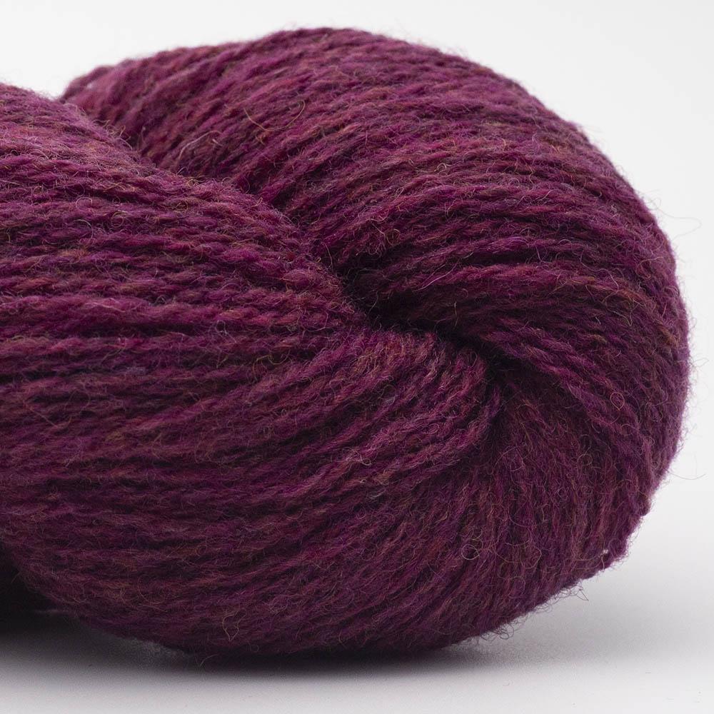 BC Garn - Bio Shetland