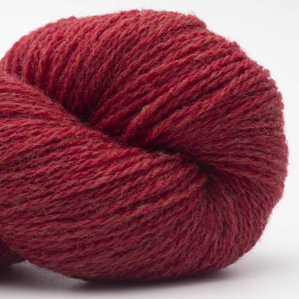 BC Garn - Bio Shetland