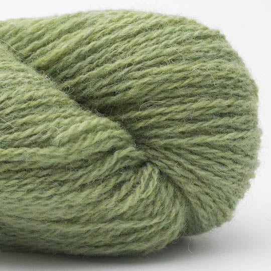 BC Garn - Bio Shetland